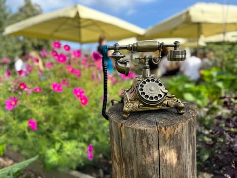 An ornate brass candlestick telephone on a garden post among flowers