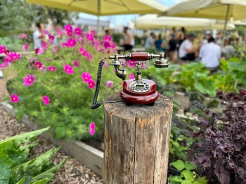 A burgundy candlestick telephone on a garden post among flowers