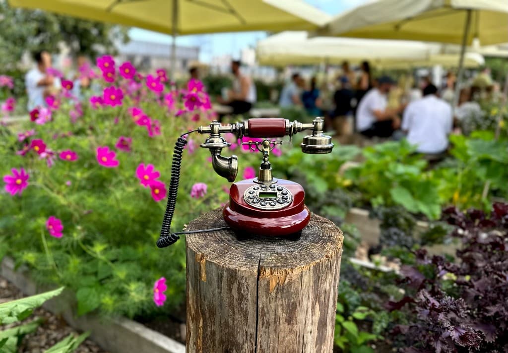 A burgundy vintage telephone on a garden post among flowers