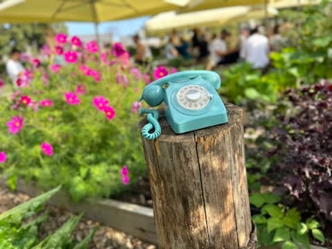 A teal rotary telephone on a wooden post among garden flowers
