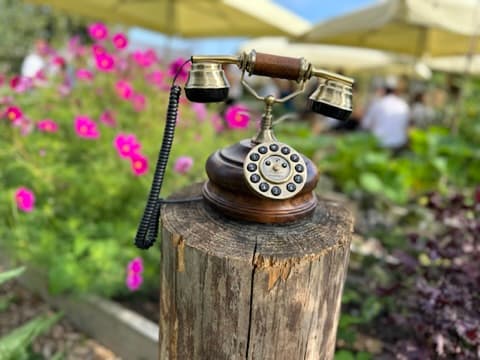 A wooden vintage telephone with brass bells on a garden post among flowers